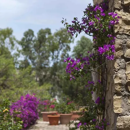 Sardegna - Con Parco E Piscina A Vila Carloforte (Isola di San Pietro)