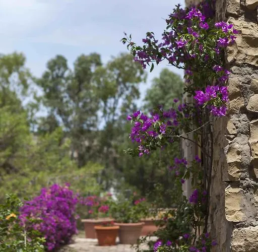 Sardegna - Con Parco E Piscina A Villa Carloforte
