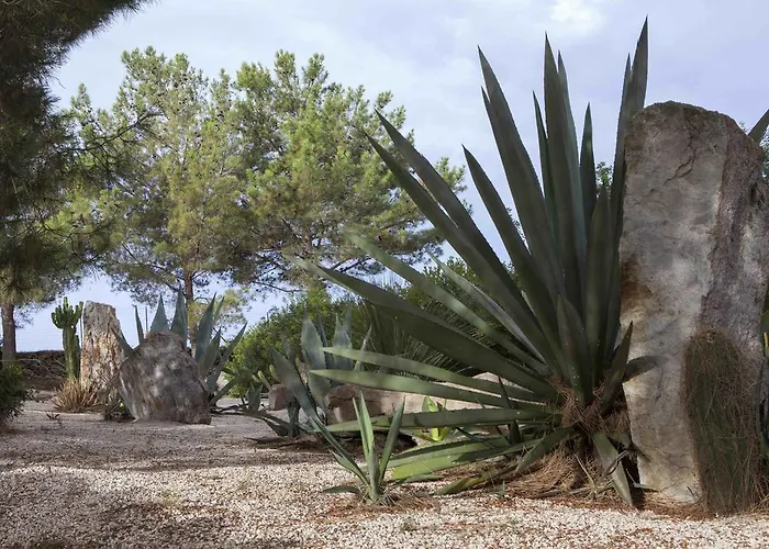 Villa Sardegna - Con Parco E Piscina A